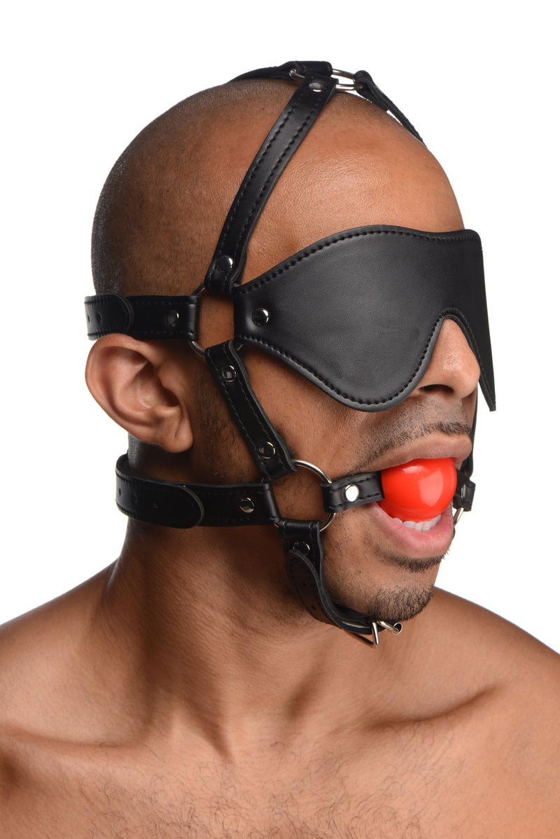 Blindfold Harness and Red Ball Gag Hoods from Strict