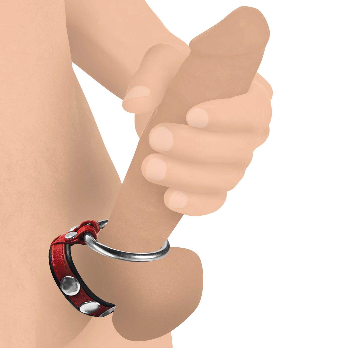 Leather and Steel Cock and Ball Ring - The Dildo Hub