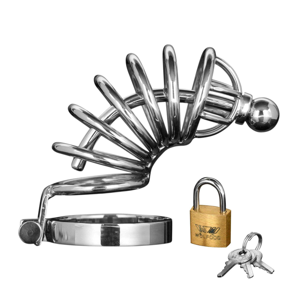 Asylum 6 Ring Locking Chastity Cage - The Dildo Hub