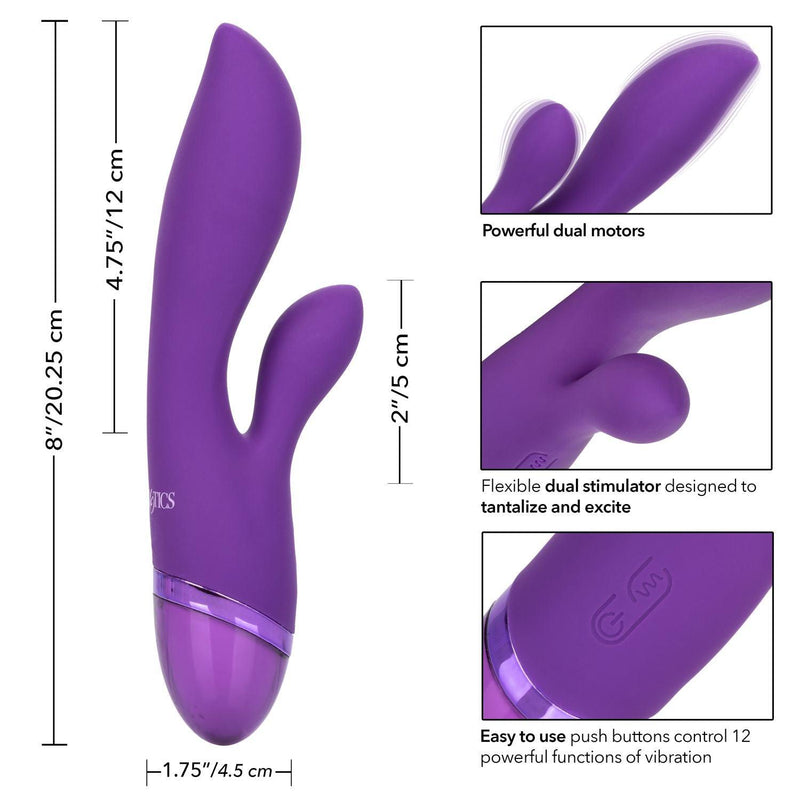 Aura Dual Lover Purple Rabbit Vibrators - 8 Inches | CalExotics - The Dildo Hub