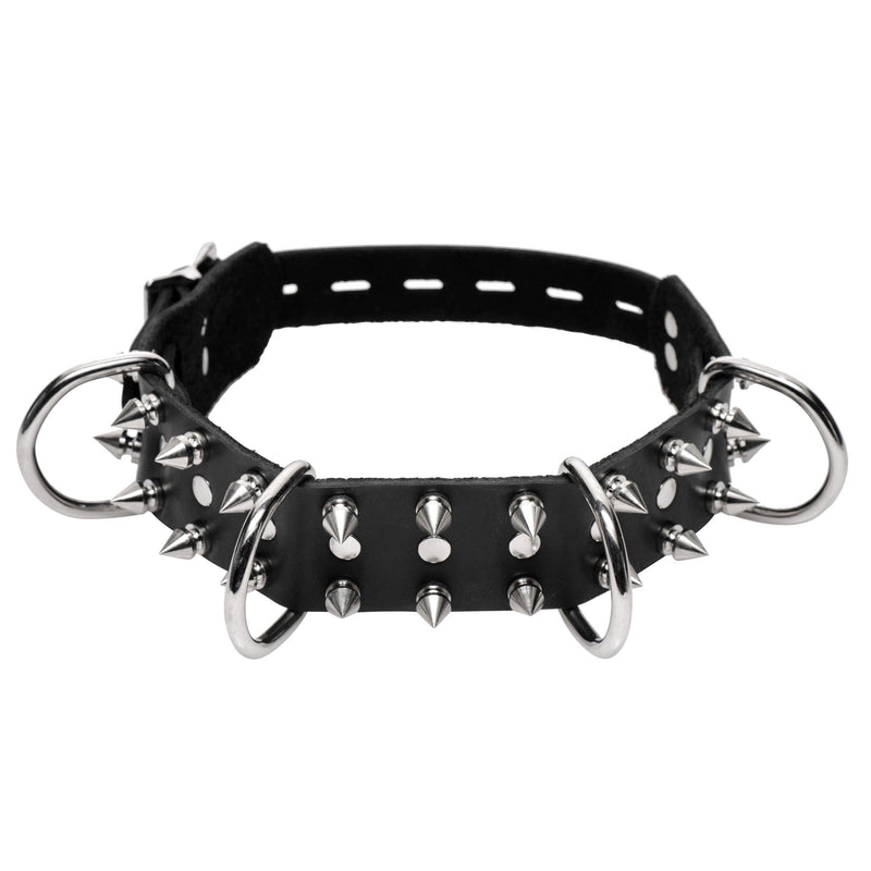 Bad Dog Leash and Spiked Collar Kit - The Dildo Hub