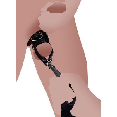 Ball Stretcher With Leash - The Dildo Hub