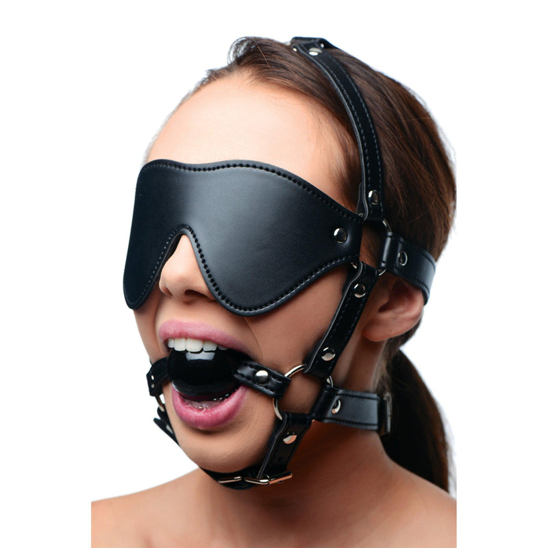 Blindfold Harness and Black Ball Gag - The Dildo Hub