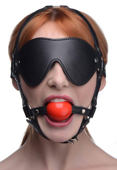 Blindfold Harness and Red Ball Gag - The Dildo Hub