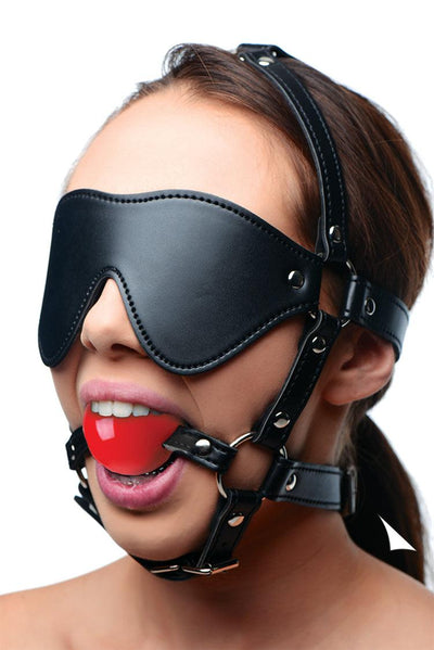 Blindfold Harness and Red Ball Gag - The Dildo Hub