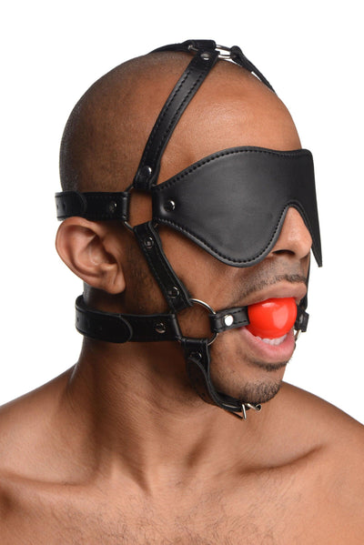 Blindfold Harness and Red Ball Gag - The Dildo Hub