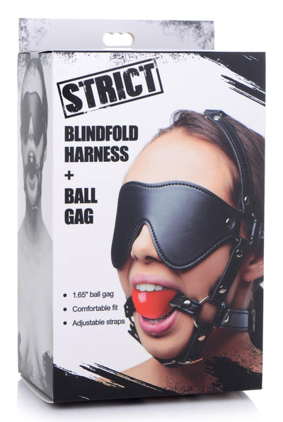 Blindfold Harness and Red Ball Gag - The Dildo Hub