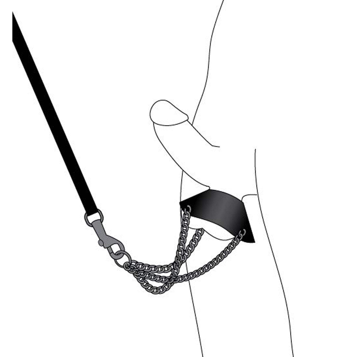 By the Balls Scrotum Stretching Kit with Leash - The Dildo Hub