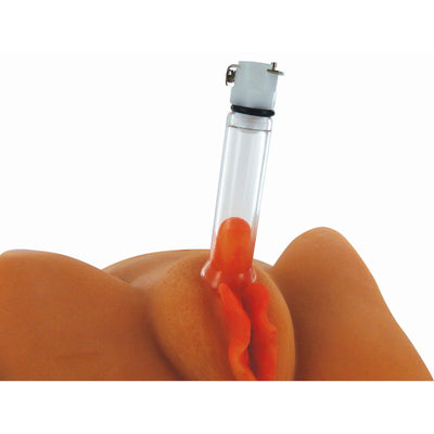 Clitoral Pumping System with Detachable Acrylic Cylinder - The Dildo Hub