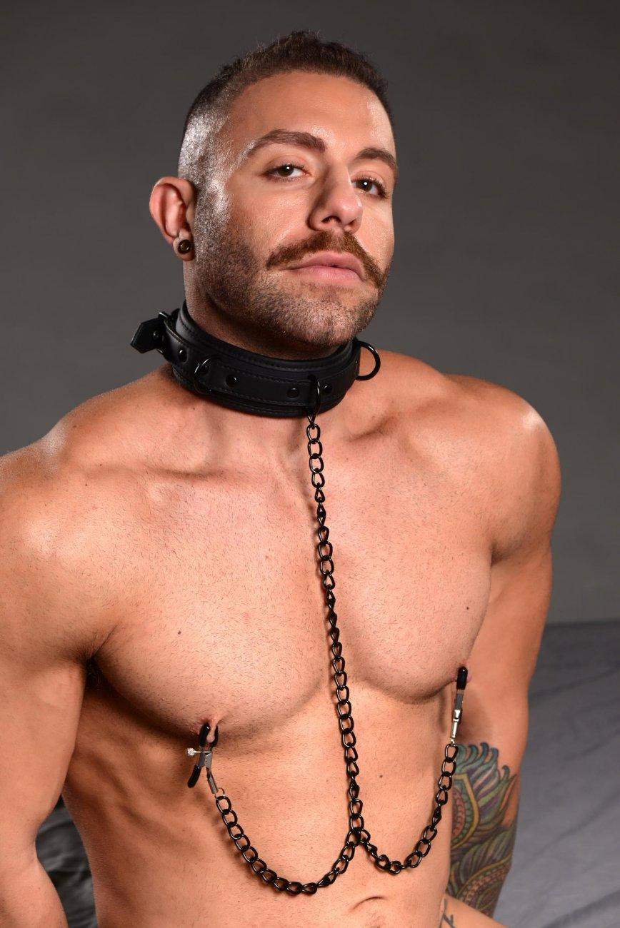 Collared Temptress Collar with Nipple Clamps - The Dildo Hub