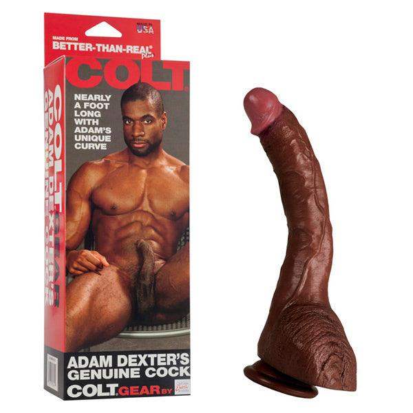 Colt Adam Dexter Realistic Cock - The Dildo Hub