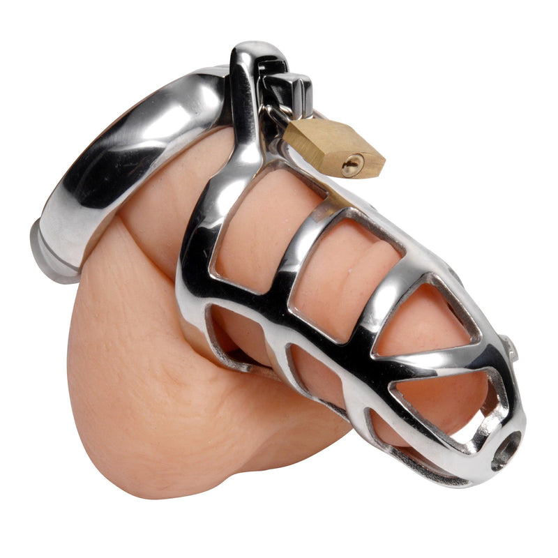 Detained Stainless Steel Chastity Cage - The Dildo Hub