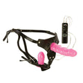 Dual Harness