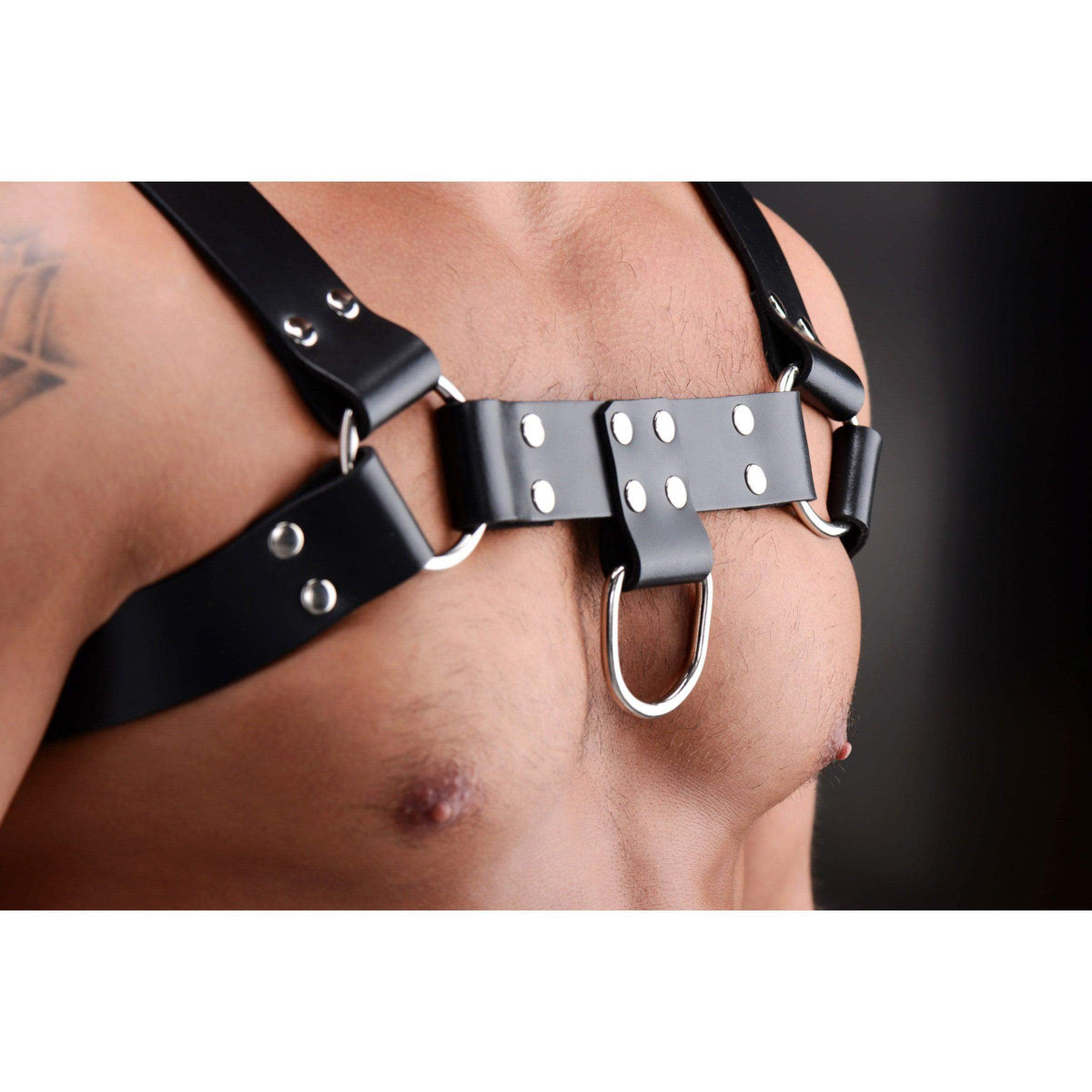 English Bull Dog Harness - The Dildo Hub