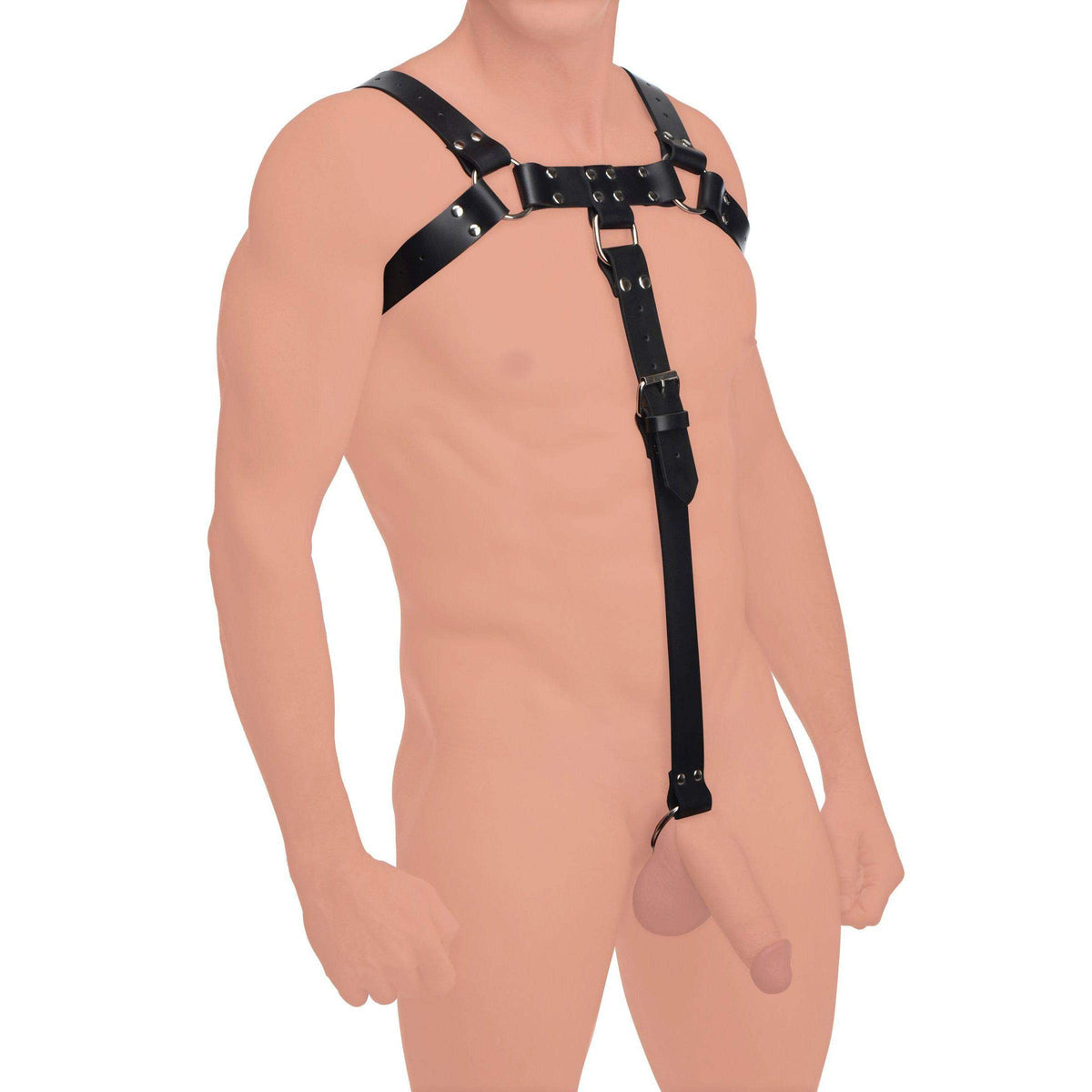English Bull Dog Harness with Cock Strap - The Dildo Hub