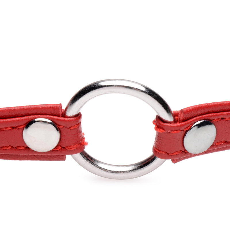 Fiery Pet Leather Choker with Silver Ring - The Dildo Hub