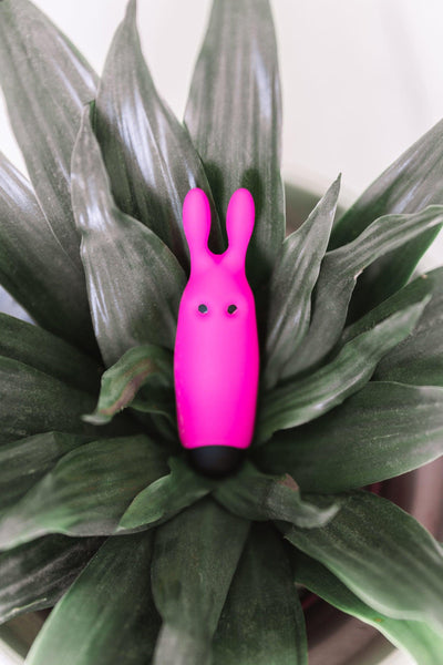 Fuschia Mini Pocket Vibrator | Adrien Lastic - The Dildo Hub