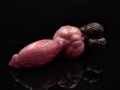 Custom Mastiff Kinky Knot Dildo in Platinum Silicone