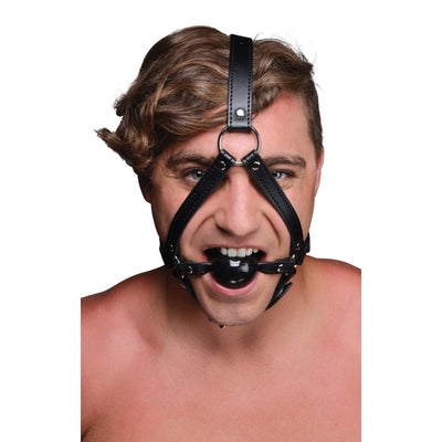 Head Harness with inch Ball Gag - The Dildo Hub