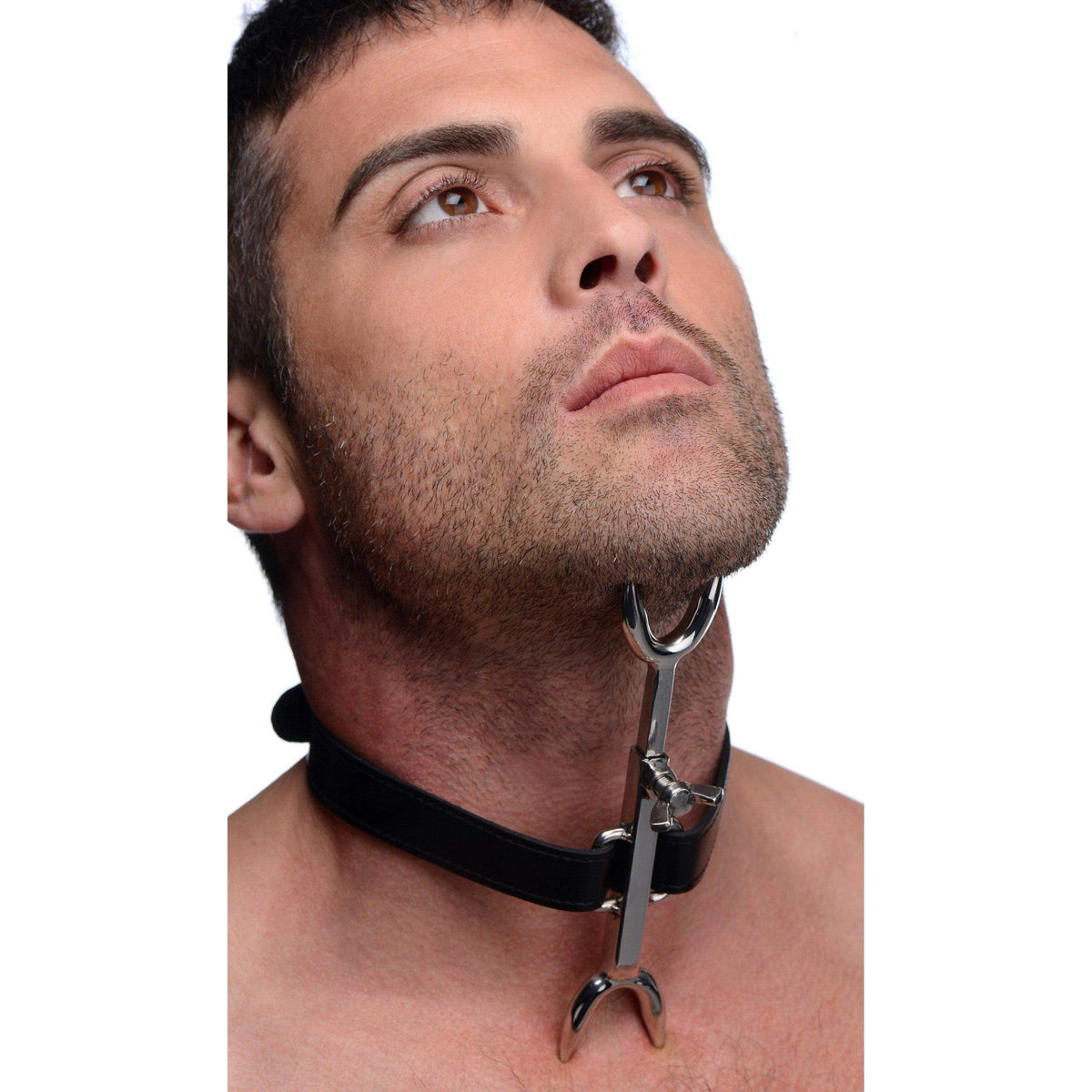 Heretics Fork - The Dildo Hub
