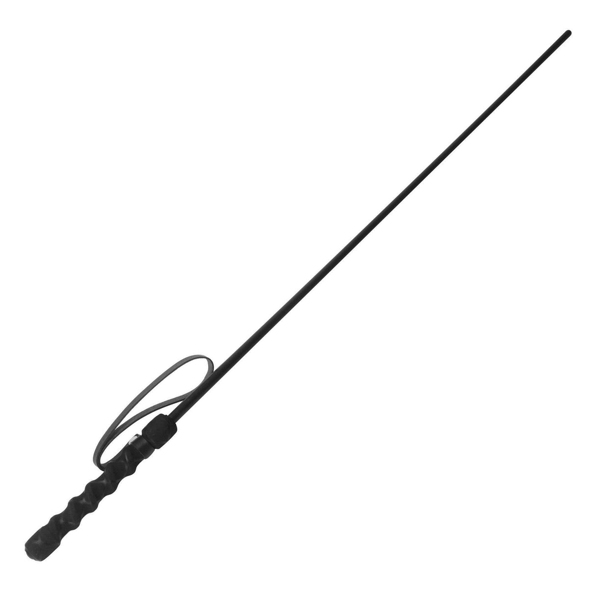 Intense Impact Cane- Black - The Dildo Hub