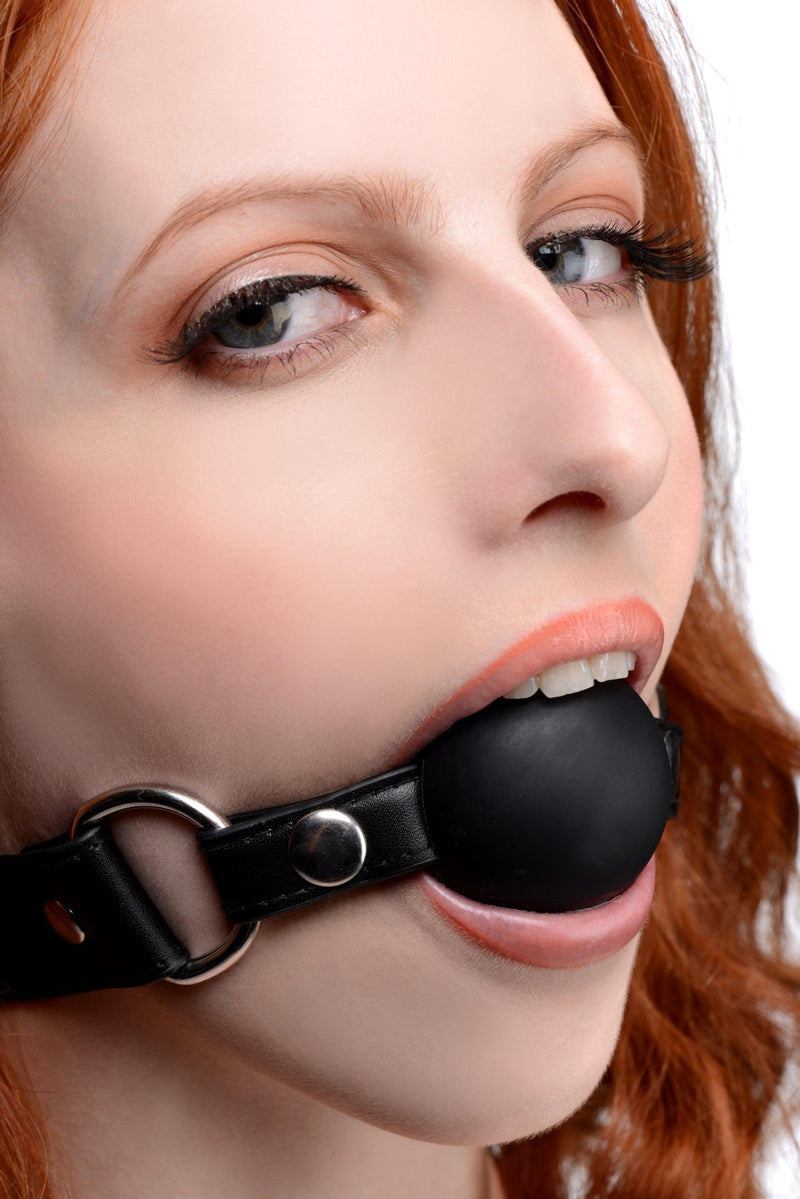 Interchangeable Silicone Ball Gag Set - The Dildo Hub