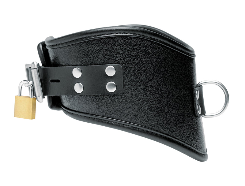 Isabella Sinclaire Leather Posture Collar with Leash LeatherR from Mistress by Isabella Sinclaire