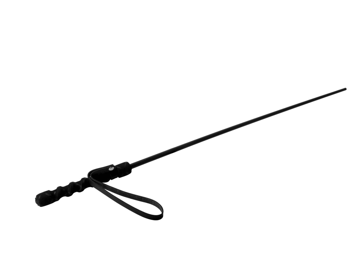 Isabella Sinclaire Intense Impact Cane - The Dildo Hub