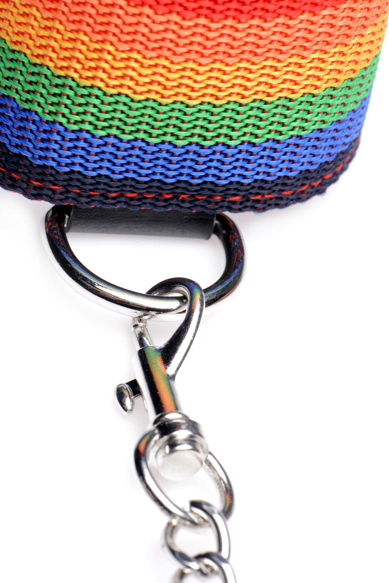 Kinky Pride Rainbow Bondage Set - The Dildo Hub