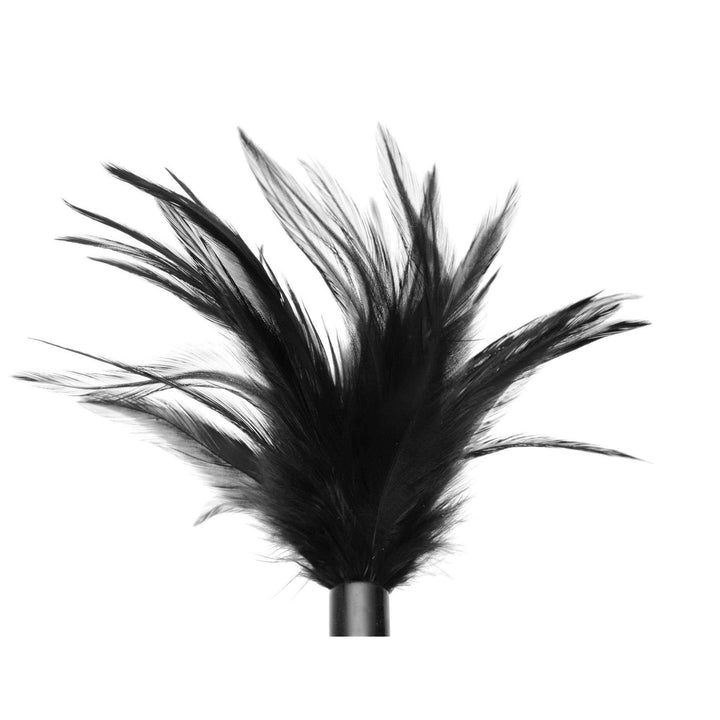 Le Plume Feather Tickler - Black - The Dildo Hub