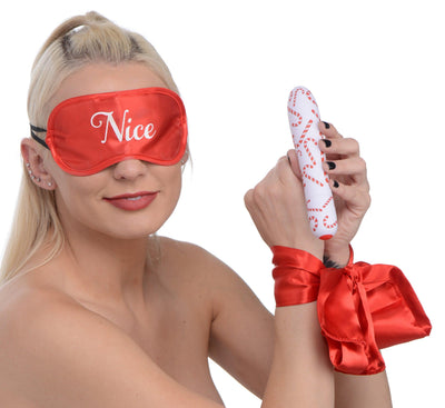 Naughty Holiday Kit - The Dildo Hub