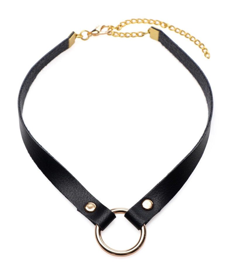 Posh Pet Gold Ring Slim Choker - The Dildo Hub