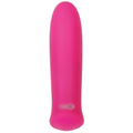 Pretty In Pink Bullet Vibrator | Evolved