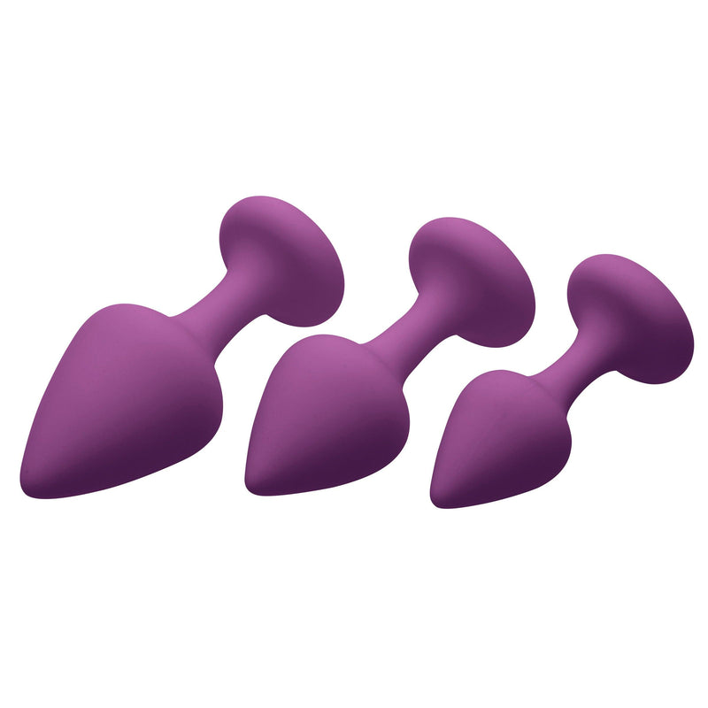 Purple Pleasures 3 Piece Silicone Anal Plugs - The Dildo Hub