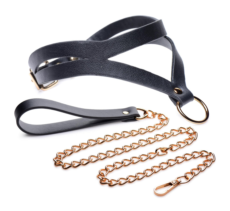Black and Gold Collar with Leash Kit LeatherR from Master Series