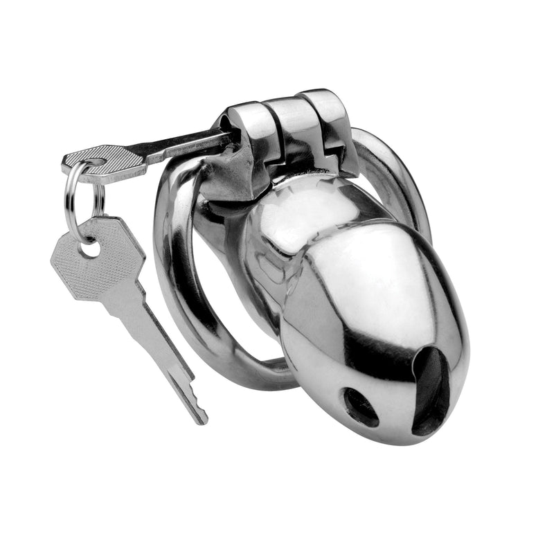 Rikers 24-7 Stainless Steel Locking Chastity Cage - The Dildo Hub