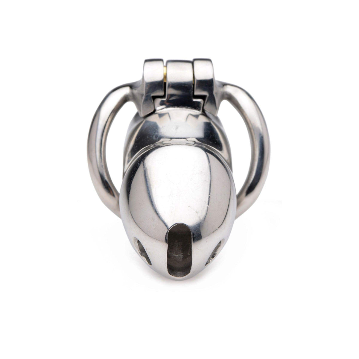Rikers 24-7 Stainless Steel Locking Chastity Cage - The Dildo Hub