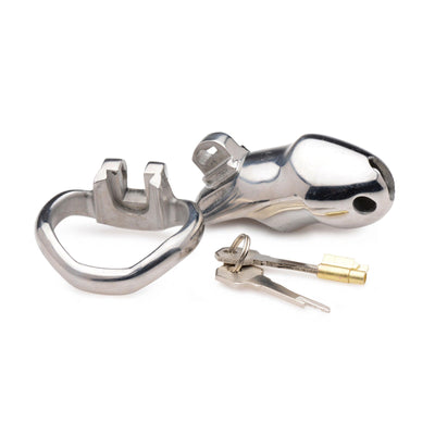 Rikers 24-7 Stainless Steel Locking Chastity Cage - The Dildo Hub