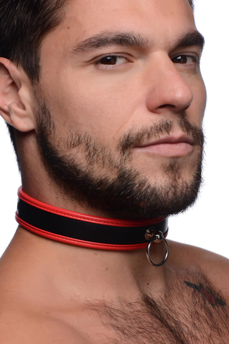 Scarlet Pet Red Collar with O-Ring - The Dildo Hub