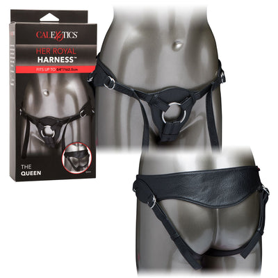 Her Royal Harness the Queen - Boxed | CalExotics  from CalExotics