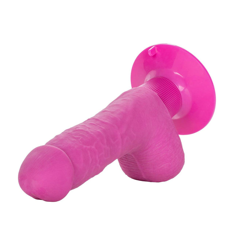 Shower Stud Ballsy Dong - Pink | CalExotics - The Dildo Hub