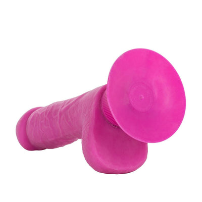 Shower Stud Ballsy Dong - Pink | CalExotics - The Dildo Hub