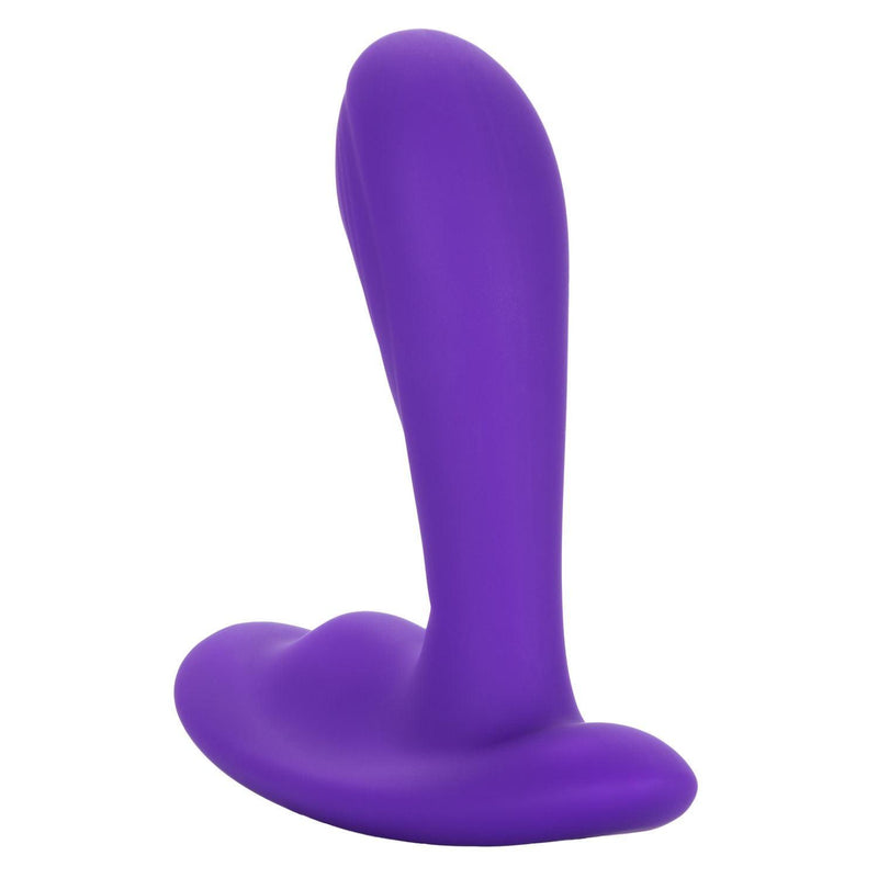 Silicone Remote Pinpoint Pleaser | CalExotics - The Dildo Hub