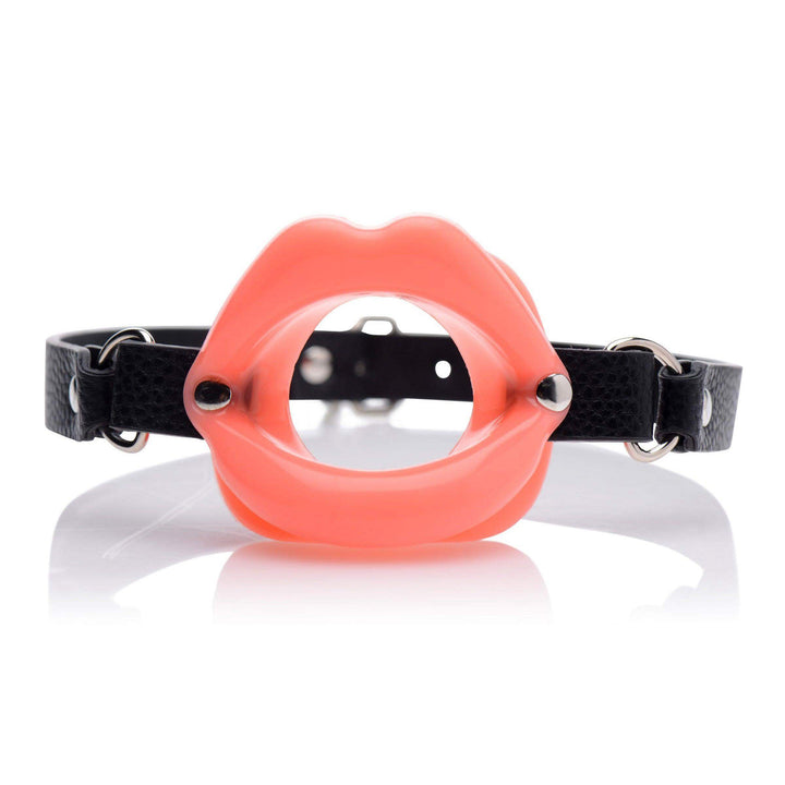 Sissy Mouth Gag - The Dildo Hub