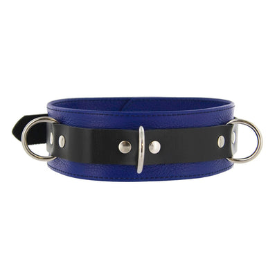 Strict Leather Deluxe Locking Collar - Blue and Black - The Dildo Hub