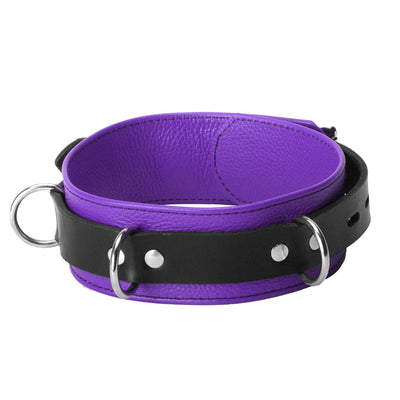 Strict Leather Deluxe Locking Collar - Purple and Black - The Dildo Hub