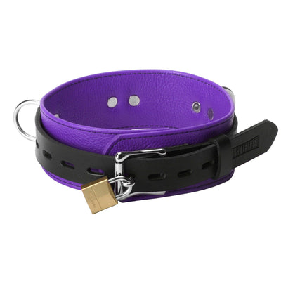 Strict Leather Deluxe Locking Collar - Purple and Black - The Dildo Hub