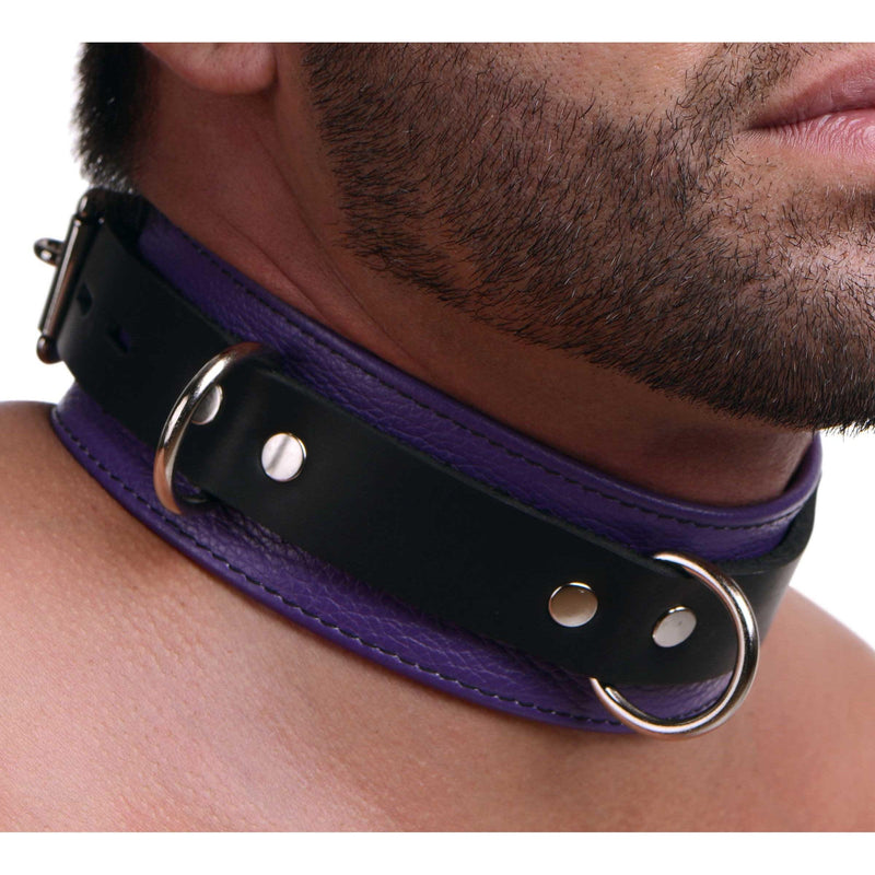 Strict Leather Deluxe Locking Collar - Purple and Black - The Dildo Hub