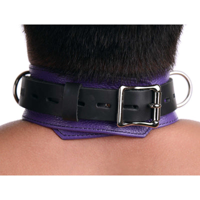 Strict Leather Deluxe Locking Collar - Purple and Black - The Dildo Hub