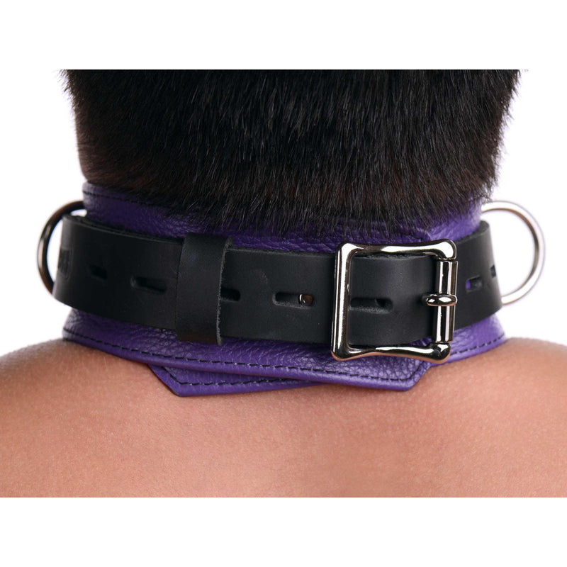 Strict Leather Deluxe Locking Collar - Purple and Black - The Dildo Hub